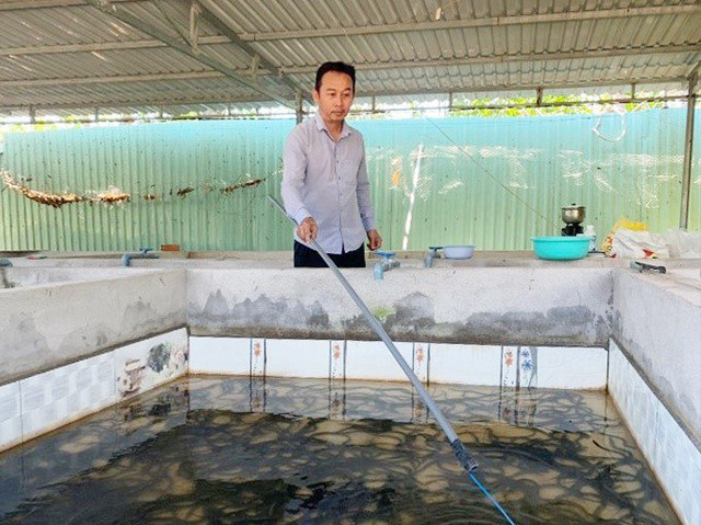 Nuôi lươn trong bể xi măng, anh nông dân thu 2 tỷ đồng/năm Nuoi luon trong be xi mang, anh nong dan thu 2 ty dong/nam