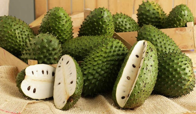Những người này tuyệt đối không nên ăn mãng cầu - Hình 3 Nhung nguoi nay tuyet doi khong nen an mang cau-Hinh-3
