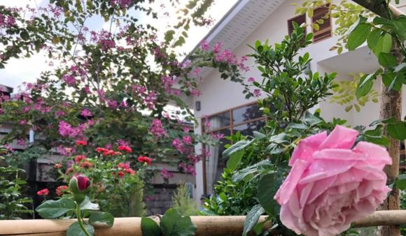 Thiết kế nhà cấp bốn với sân vườn, 'thềm nhà có hoa' - Hình 13 Thiet ke nha cap bon voi san vuon, 'them nha co hoa'-Hinh-13