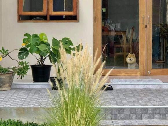 Thiết kế nhà cấp bốn với sân vườn, 'thềm nhà có hoa' - Hình 2 Thiet ke nha cap bon voi san vuon, 'them nha co hoa'-Hinh-2