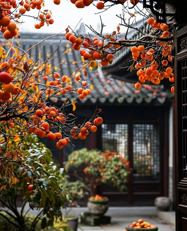 Vì sao nói trồng cây hướng đông, con cháu giàu có, thịnh vượng? - Hình 4 Vi sao noi trong cay huong dong, con chau giau co, thinh vuong?-Hinh-4