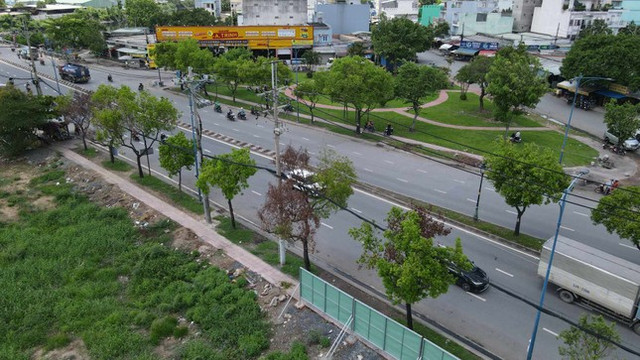 Vì sao hàng loạt cây xanh ở TP HCM chết khô? - Hình 2 Vi sao hang loat cay xanh o TP HCM chet kho?-Hinh-2