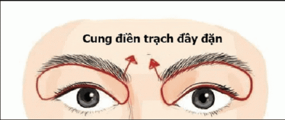 Người sở hữu 7 nét tướng này nên nhanh chóng làm kinh doanh - Hình 2 Nguoi so huu 7 net tuong nay nen nhanh chong lam kinh doanh-Hinh-2