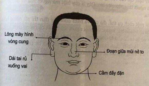 Người sở hữu 7 nét tướng này nên nhanh chóng làm kinh doanh - Hình 4 Nguoi so huu 7 net tuong nay nen nhanh chong lam kinh doanh-Hinh-4