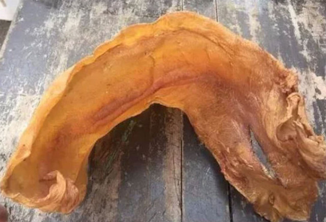 Thứ tưởng bỏ đi trong bụng cá có giá cao không ngờ - Hình 2 Thu tuong bo di trong bung ca co gia cao khong ngo-Hinh-2