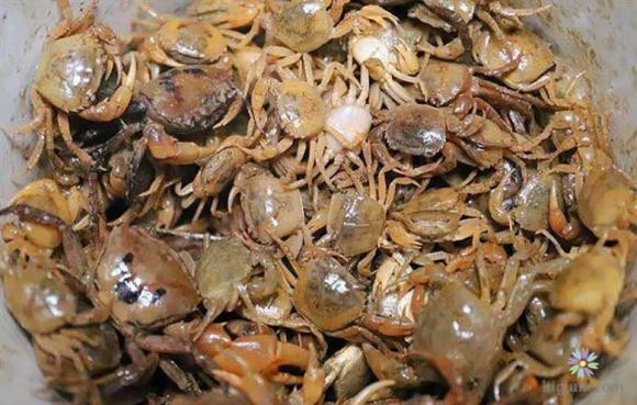 Cho thêm muối hạt khi xay, nghe lý do rất đáng học hỏi theo - Hình 2 Cho them muoi hat khi xay, nghe ly do rat dang hoc hoi theo-Hinh-2