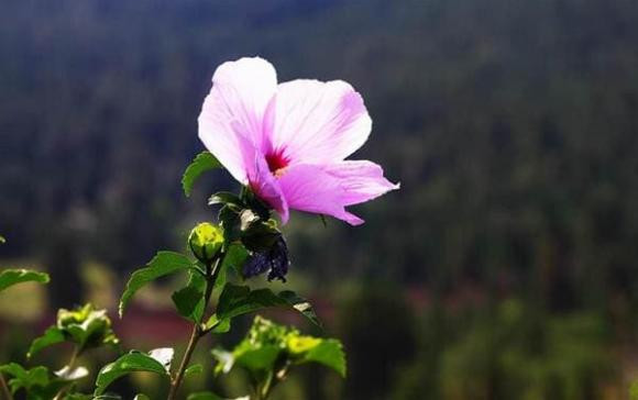 3 nơi này trong nhà càng đầy đủ thì càng may mắn! 3 noi nay trong nha cang day du thi cang may man!
