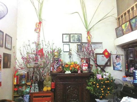 Dùng mía thắp hương trên bàn thờ, điều đó có ý nghĩa gì? Dung mia thap huong tren ban tho, dieu do co y nghia gi?