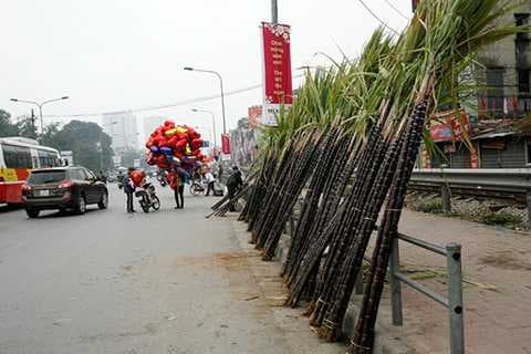 Dùng mía thắp hương trên bàn thờ, điều đó có ý nghĩa gì? - Hình 3 Dung mia thap huong tren ban tho, dieu do co y nghia gi?-Hinh-3