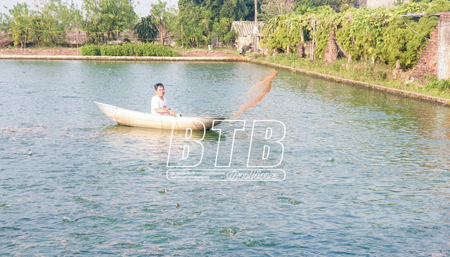 Nuôi cá bé, chăm kiểu gì ông nông dân Thái Bình thu tiền tỷ? Nuoi ca be, cham kieu gi ong nong dan Thai Binh thu tien ty?