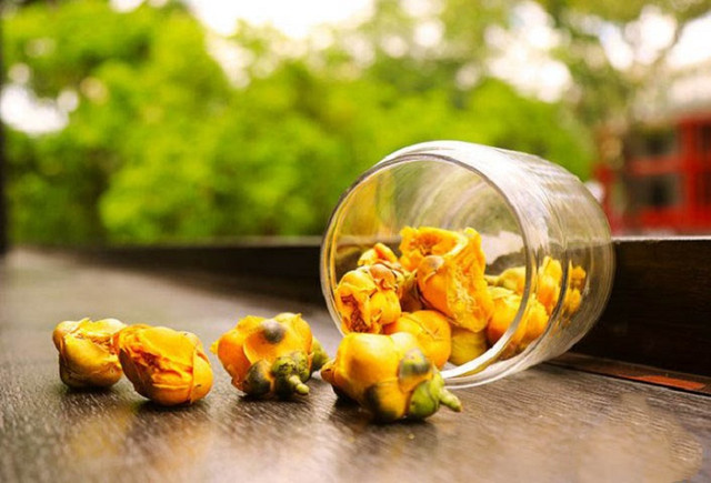 Cây mọc dại thành “nữ hoàng” trà, giá 20 triệu đồng/kg - Hình 12 Cay moc dai thanh “nu hoang” tra, gia 20 trieu dong/kg-Hinh-12