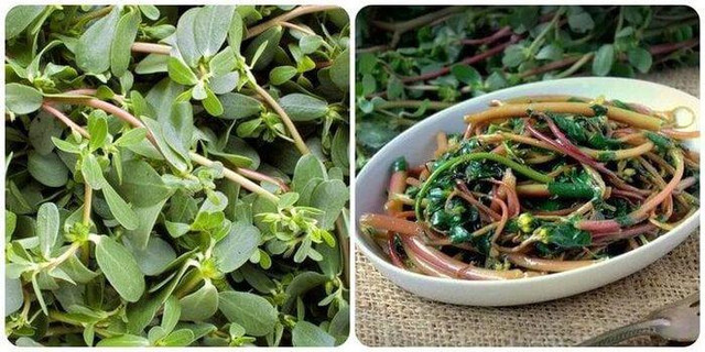 Loại rau dại ngon xuất sắc, nhưng đại kỵ với 4 nhóm người này Loai rau dai ngon xuat sac, nhung dai ky voi 4 nhom nguoi nay