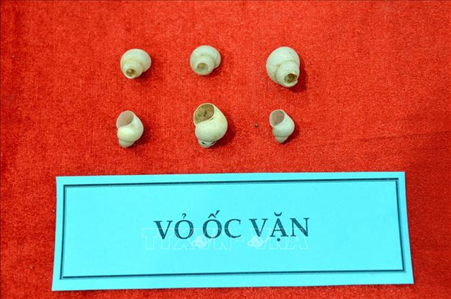 Phát hiện hơn 900 hiện vật khảo cổ tại hang Ngườm Sâu, Lạng Sơn - Hình 4 Phat hien hon 900 hien vat khao co tai hang Nguom Sau, Lang Son-Hinh-4