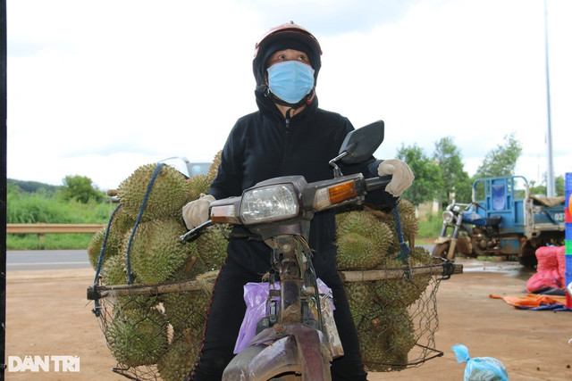 “Cò” đất chuyển hướng sang môi giới sầu riêng ở Tây Nguyên - Hình 4 “Co” dat chuyen huong sang moi gioi sau rieng o Tay Nguyen-Hinh-4