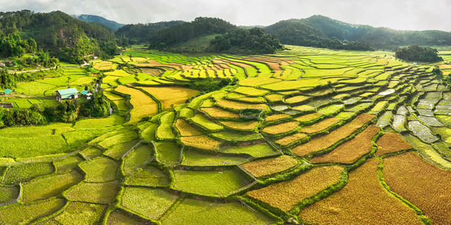 Hành trình khám phá Măng Đen - Đà Lạt thu nhỏ giữa lòng Tây Nguyên Hanh trinh kham pha Mang Den - Da Lat thu nho giua long Tay Nguyen