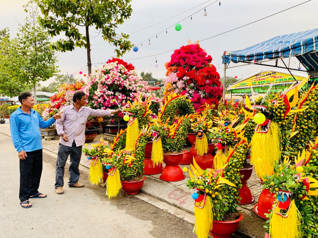 Chợ tết Bình Dương, dân tình chụp hình chậu quất hình rồng YAHOO 25 Cho tet Binh Duong, dan tinh chup hinh chau quat hinh rong YAHOO 25