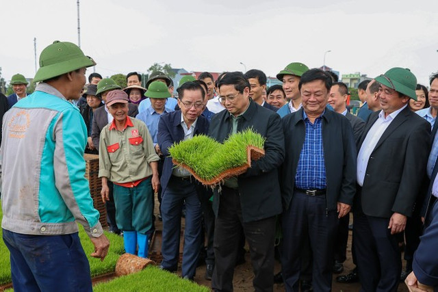 Thủ tướng xuống đồng trực tiếp điều khiển máy cấy lúa Thu tuong xuong dong truc tiep dieu khien may cay lua
