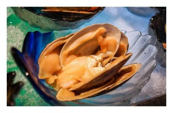 Xếp hạng động vật sống thọ nhất, loài thứ 3 sống tới 500 năm - Hình 7 Xep hang dong vat song tho nhat, loai thu 3 song toi 500 nam-Hinh-7