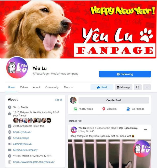 Fanpage thú cưng thu hút gần 2,5 triệu like Fanpage thu cung thu hut gan 2,5 trieu like