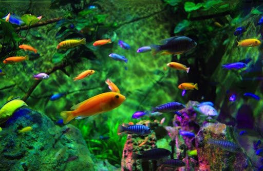 Trong nhà thấy 4 dấu hiệu này hung tinh đeo bám, làm gì cũng bất thành Trong nha thay 4 dau hieu nay hung tinh deo bam, lam gi cung bat thanh
