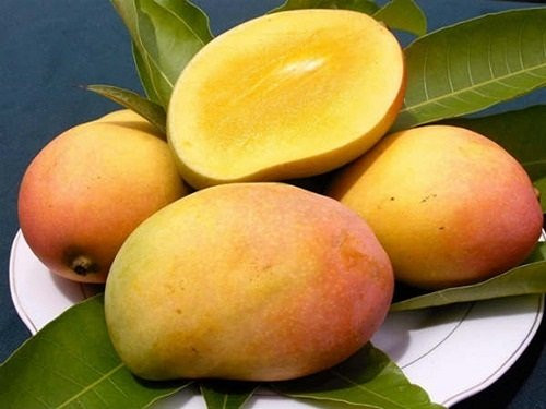 Mua xoài thấy điểm này thì nhớ tránh xa - Hình 2 Mua xoai thay diem nay thi nho tranh xa-Hinh-2