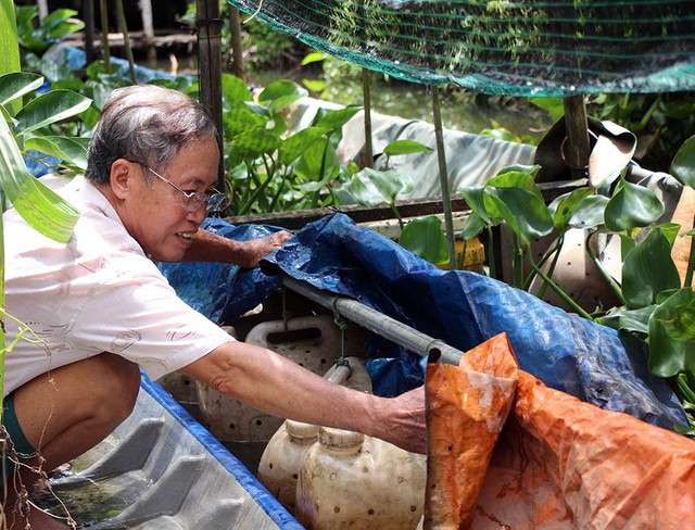 Giật mình cảnh hàng nghìn con lươn cuộn trong can nhựa - Hình 6 Giat minh canh hang nghin con luon cuon trong can nhua-Hinh-6