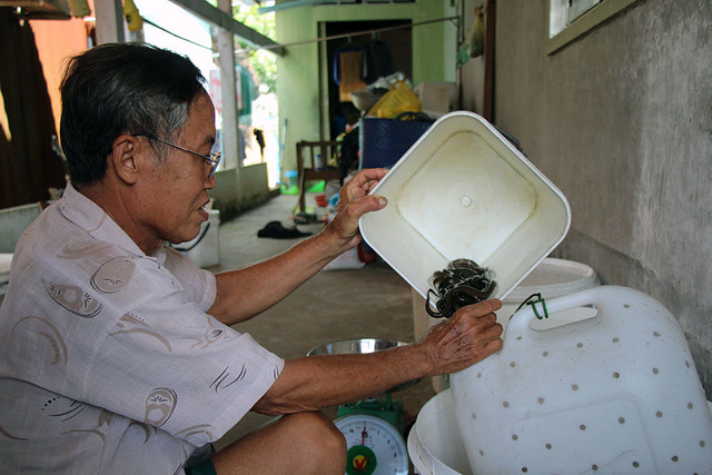 Giật mình cảnh hàng nghìn con lươn cuộn trong can nhựa Giat minh canh hang nghin con luon cuon trong can nhua