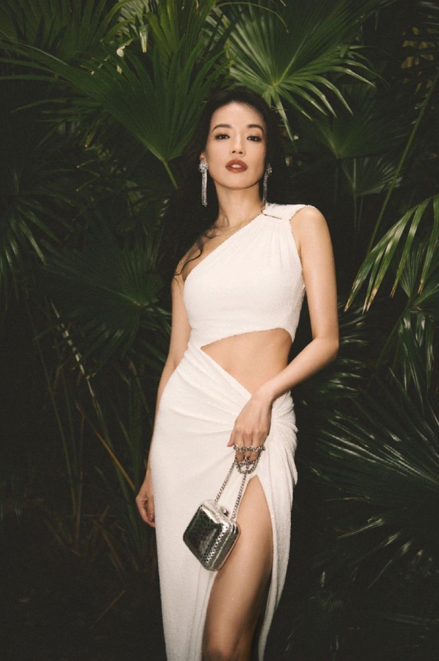 Vẻ quyến rũ gây thương nhớ của Thư Kỳ ở tuổi 47 - Hình 5 Ve quyen ru gay thuong nho cua Thu Ky o tuoi 47-Hinh-5