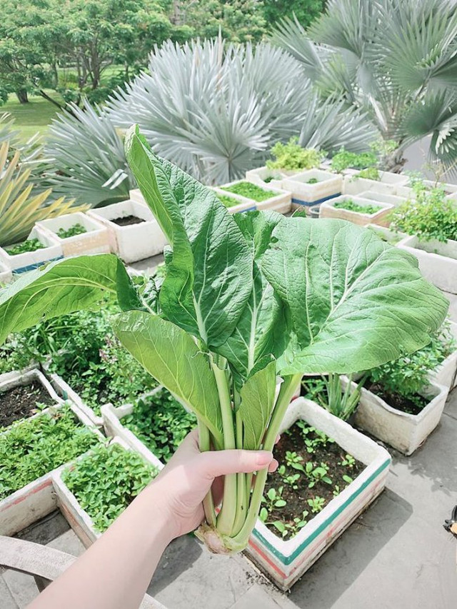 Bảo Thy gây choáng váng với phần trang trí Giáng sinh - Hình 23 Bao Thy gay choang vang voi phan trang tri Giang sinh-Hinh-23