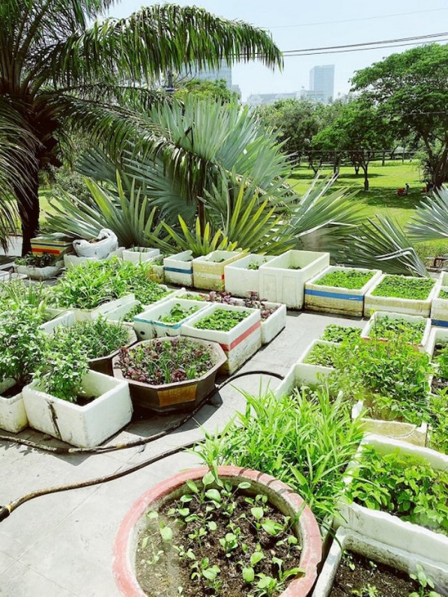 Bảo Thy gây choáng váng với phần trang trí Giáng sinh - Hình 22 Bao Thy gay choang vang voi phan trang tri Giang sinh-Hinh-22