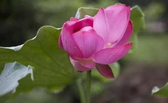 Người sinh vào 7 ngày âm lịch này được trời ban cho phúc khí, phú quý - Hình 4 Nguoi sinh vao 7 ngay am lich nay duoc troi ban cho phuc khi, phu quy-Hinh-4