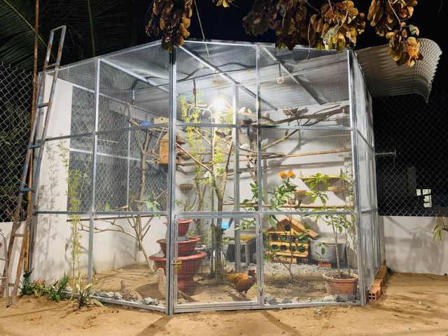 Mẫu nhà cấp 4 với bếp xây gạch đỏ đậm tính truyền thống - Hình 11 Mau nha cap 4 voi bep xay gach do dam tinh truyen thong-Hinh-11
