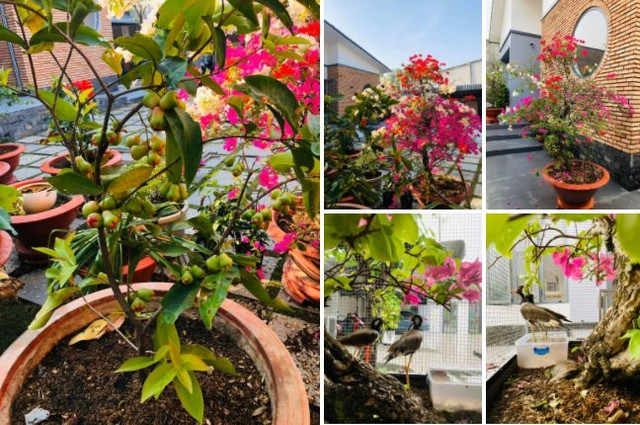Mẫu nhà cấp 4 với bếp xây gạch đỏ đậm tính truyền thống - Hình 8 Mau nha cap 4 voi bep xay gach do dam tinh truyen thong-Hinh-8