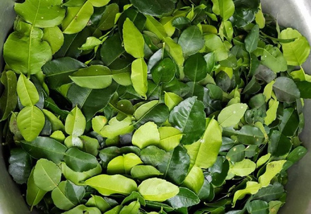 10 lợi ích bất ngờ của lá chanh bạn nên biết - Hình 3 10 loi ich bat ngo cua la chanh ban nen biet-Hinh-3