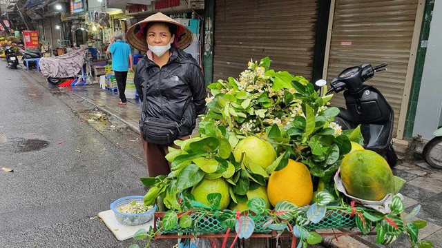 Hoa bưởi được giá, nhiều chủ vườn bỏ túi tiền triệu mỗi ngày - Hình 5 Hoa buoi duoc gia, nhieu chu vuon bo tui tien trieu moi ngay-Hinh-5