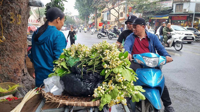Hoa bưởi được giá, nhiều chủ vườn bỏ túi tiền triệu mỗi ngày - Hình 2 Hoa buoi duoc gia, nhieu chu vuon bo tui tien trieu moi ngay-Hinh-2