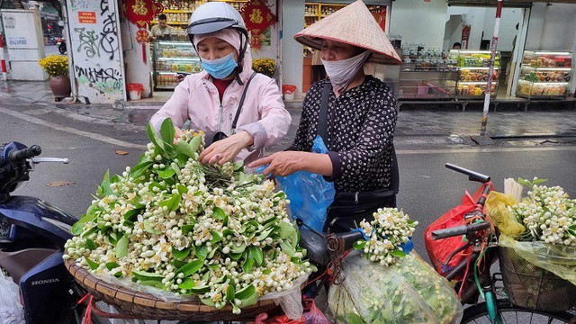 Hoa bưởi được giá, nhiều chủ vườn bỏ túi tiền triệu mỗi ngày - Hình 6 Hoa buoi duoc gia, nhieu chu vuon bo tui tien trieu moi ngay-Hinh-6