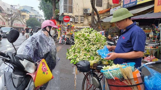 Hoa bưởi được giá, nhiều chủ vườn bỏ túi tiền triệu mỗi ngày - Hình 4 Hoa buoi duoc gia, nhieu chu vuon bo tui tien trieu moi ngay-Hinh-4