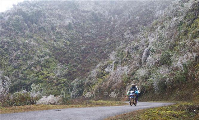 Cao Bằng: Băng giá bao phủ dày đặc trên đỉnh Ca Dằm - Hình 3 Cao Bang: Bang gia bao phu day dac tren dinh Ca Dam-Hinh-3