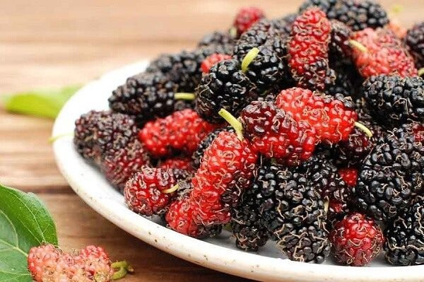 6 loại cây mùa hè giàu canxi bé càng ăn càng cao lớn 6 loai cay mua he giau canxi be cang an cang cao lon
