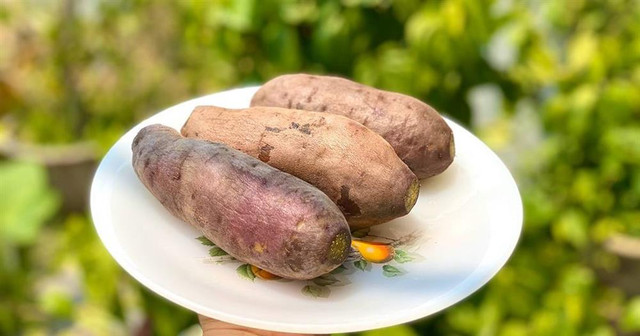 Luộc khoai lang chỉ cần thêm một thứ bảo đảm ngọt lịm lại bở tung Luoc khoai lang chi can them mot thu bao dam ngot lim lai bo tung