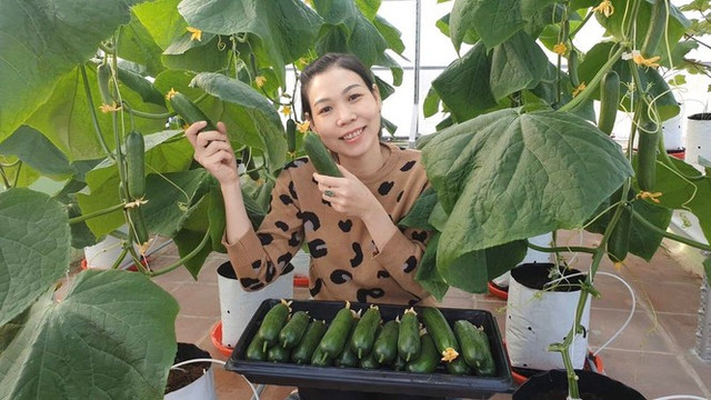 Gia đình trẻ biến sân thượng trống thành "khu vườn trên mây" - Hình 2 Gia dinh tre bien san thuong trong thanh