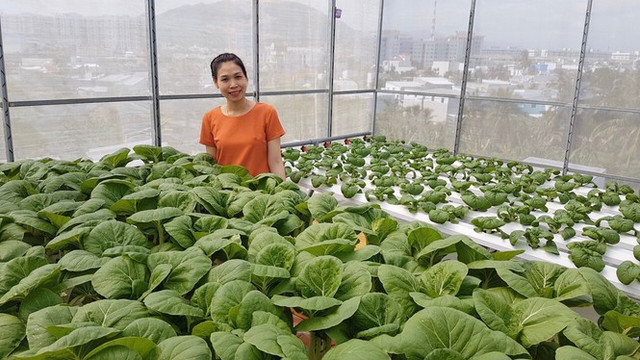 Gia đình trẻ biến sân thượng trống thành "khu vườn trên mây" Gia dinh tre bien san thuong trong thanh