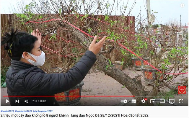 Hoa, cây cảnh Tết: Ngóng cả khách mua lẫn khách thuê Hoa, cay canh Tet: Ngong ca khach mua lan khach thue