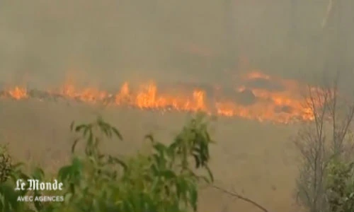 Hàng chục lính cứu hỏa bị thương vì cứu rừng ở Australia