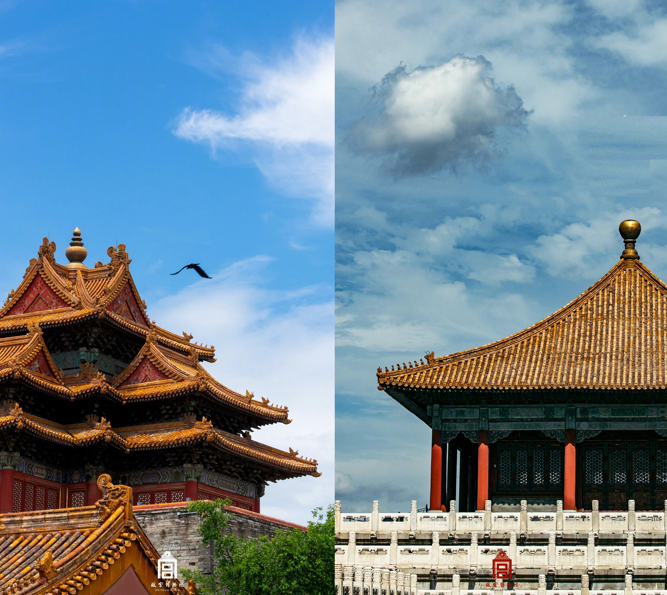 Mãn nhãn khoảnh khắc Tử Cấm Thành đẹp mơ màng trong ngày lập thu