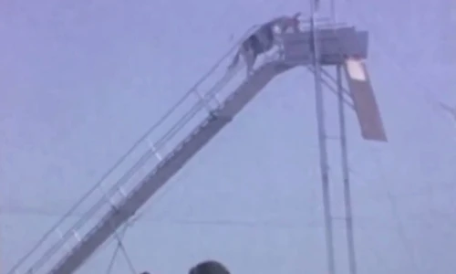 Kỳ lạ cuộc thi nhảy cầu dành cho ngựa