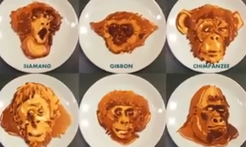 Ngã ngửa với tài vẽ mặt khỉ trên chảo rán