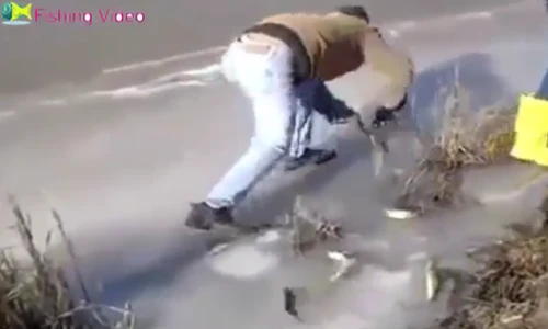 Thủ thuật bắt cá độc nhất vô nhị