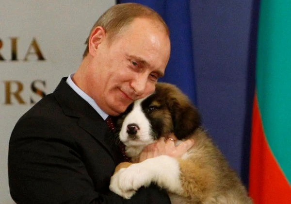 Loạt khoảnh khắc chứng tỏ Tổng thống Putin là người yêu động vật